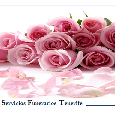 Resolveremos todas sus dudas e inquietudes