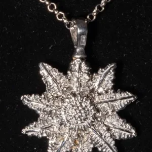 Relicario Joya Plata Eguzkilore