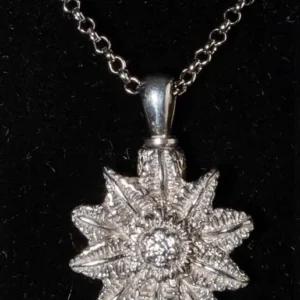 Relicario Joya Plata Eguzkilore SW