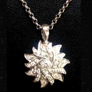 Relicario Joya Plata Sol SW